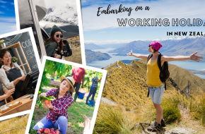 New Zealand Working Holiday Visa 