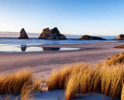 NZ visitor travel insurance plans